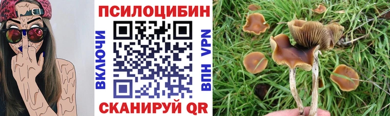 Галлюциногенные грибы мухоморы  Черняховск 
