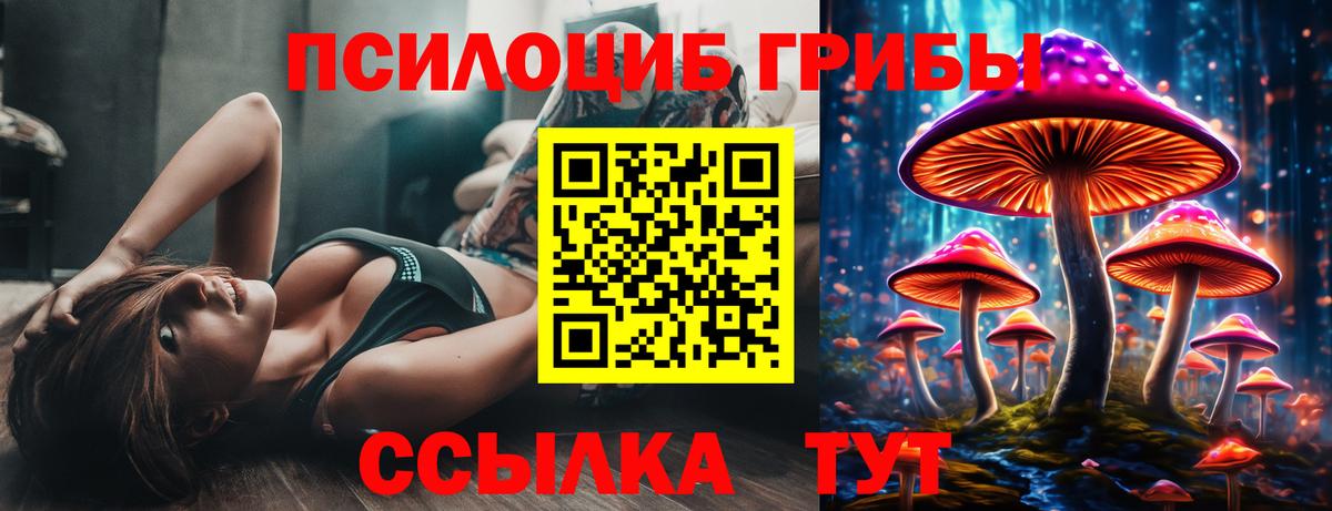 Галлюциногенные грибы Psilocybine cubensis Черняховск