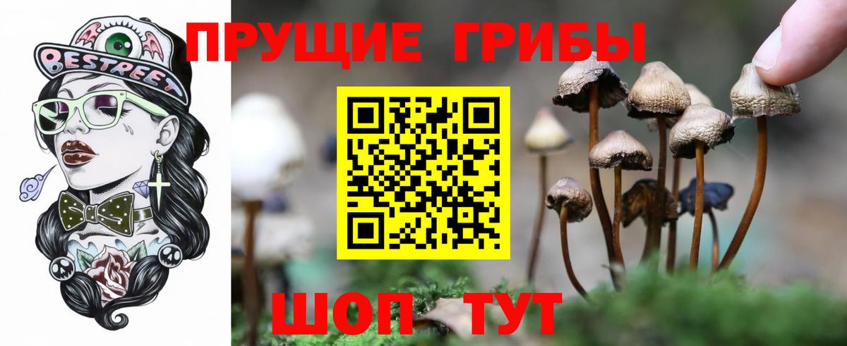 Псилоцибиновые грибы GOLDEN TEACHER  Вход с VPN  Черняховск 